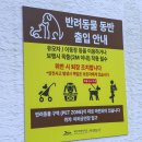 제주 천지연 담팔수 자생지 | 제주도 폭포 추천 천지연폭포 가는길 입장시간 소요시간 야간 정보