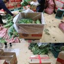 산진농장 이미지