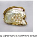 현대컴퓨터직업전문학원