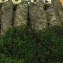 강원농장 이미지