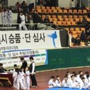 태극태권도체육관 이미지