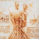 레오나르도 다빈치 과학박물관 이미지