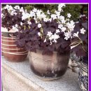 금강온천 이미지