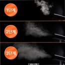 (주)썸이미지니어링 | 25초 만에 주름 끝 크리썸 SG5656 스팀다리미 솔직 후기