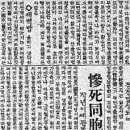 갑도농장 Daum카페