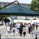 그늘막15 이미지