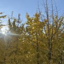 (주) 암새들 이미지