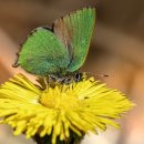 청마루감자탕.등뼈찜 이미지