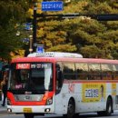 대명오리 이미지