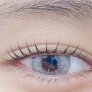 휘넌래쉬(gunnen lash)