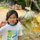 맛있게 먹자(초등 드림캠프) | 우리들 자연학교 7월 2주 차 일요일 주말 숲학교 참새샘반 수업 후기