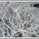 배산성지 이미지