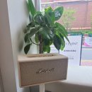 가가커피로스터스 | 마포 공덕 맛집 [가가커피 로스터스] 카페 맛집, 아이스크림 라떼가 기가막힘,폴바셋 느낌, 내돈내산 후기