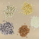 참사랑요양병원 이미지