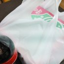 꼬꼬번피자&치킨 이미지