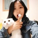 간식창고 이미지