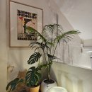 화신목장 이미지