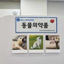 남서울약국 이미지