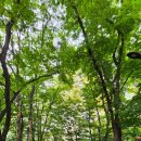 삼일공원 화장실 이미지