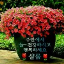 후암초교 이미지