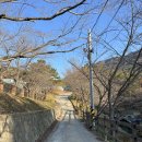 숲속나들이길 | (창원 등산) 창원 정병산 등산 #창원사격장 #독수리봉 #숲속나들이길