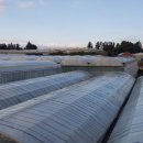 석전농장 이미지