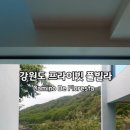 까미노데플로레스타2 이미지