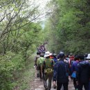 속리산둘레길 보은길3 이미지