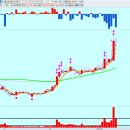 현대광학 이미지