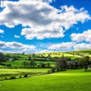 승화농장 이미지