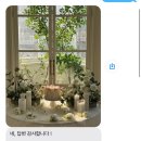 스튜디오아워시즌 | 잠실 브라이덜샤워 "스튜디오 아워시즌" 자연광 맛집에서 인생샷 건지기