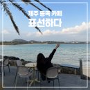 크린에이드제주표선점 | 제주 동쪽 카페 · 서귀포 오션뷰 카페 추천｜표선하다 방문후기