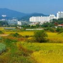 행정사제일합동사무소 네이버블로그