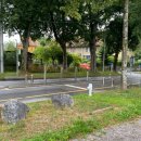 강가 가든 | [공지] [스위스&amp;밀라노 여행 후기 #8] 베른대학교 보타닉 가든