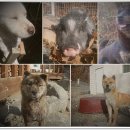 강매농장 이미지