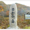 추원모차골 이미지