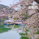 용추매점 | 제천 벚꽃, 여행지 추천! 의림지와 용추폭포 산책 후기