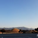 쇠전뭉티기