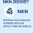 엔케이엔