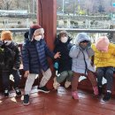 리라숲어린이집 이미지