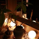 김병언 | 율하스튜디오 장유프로필사진관 아르하스튜디오