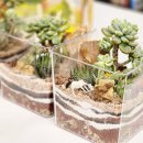 신광여자중학교 이미지