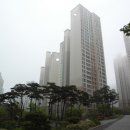 동탄역 Daum카페