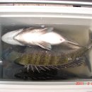 동고지 민박 이미지