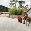 추억의주막