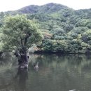 주왕산농원식당 이미지
