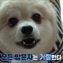 조성수농장 | [SBS TV동물농장] 가족이 된다는 건 내가 널 지켜주겠다는 거야