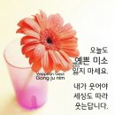 머리박사미용실 이미지