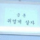 호이테커피