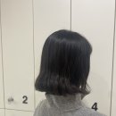 신촌역 미용실 이안헤어, 오랜만에 단발펌 성공한 후기